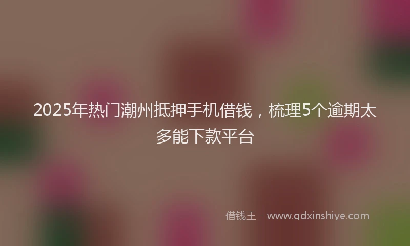 2025年热门潮州抵押手机借钱，梳理5个逾期太多能下款平台