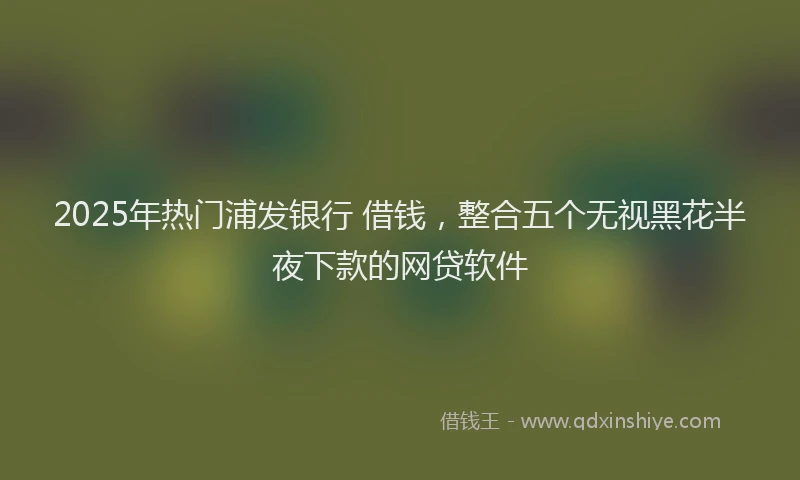 2025年热门浦发银行 借钱，整合五个无视黑花半夜下款的网贷软件