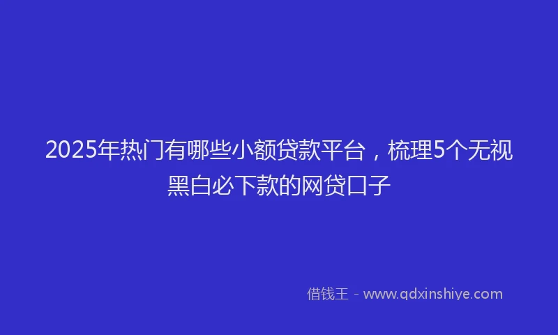 2025年热门有哪些小额贷款平台,梳理5个无视黑白必下款的网贷口子