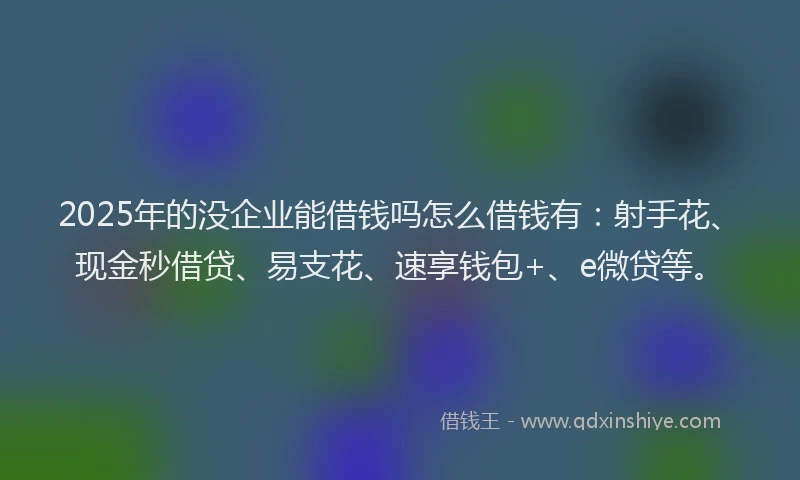 2025年的没企业能借钱吗怎么借钱有：射手花、现金秒借贷、易支花、速享钱包+、e微贷等。