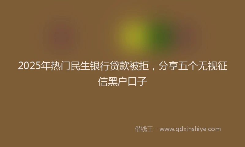 2025年热门民生银行贷款被拒，分享五个无视征信黑户口子