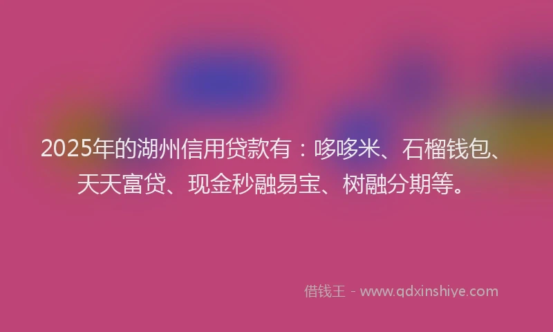 2025年的湖州信用贷款有：哆哆米、石榴钱包、天天富贷、现金秒融易宝、树融分期等。