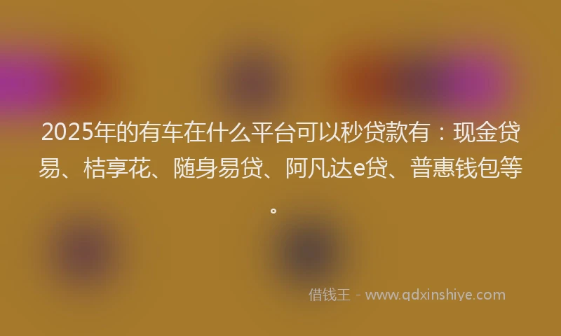 2025年的有车在什么平台可以秒贷款有:现金贷易、桔享花、随身易贷、阿凡达e贷、普惠钱包等。