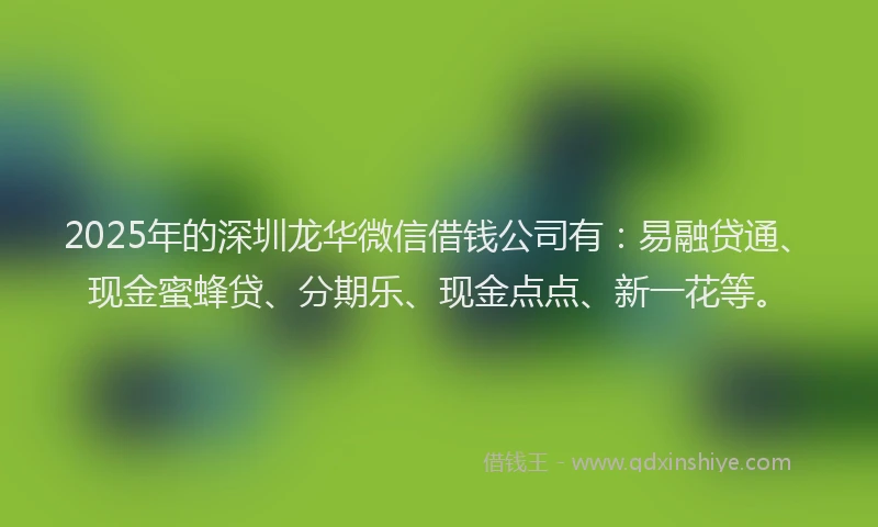 2025年的深圳龙华微信借钱公司有：易融贷通、现金蜜蜂贷、分期乐、现金点点、新一花等。