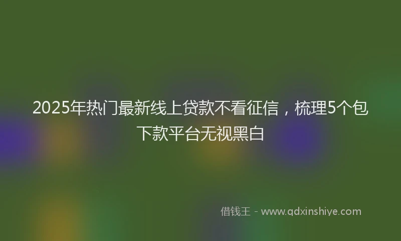 2025年热门最新线上贷款不看征信,梳理5个包下款平台无视黑白