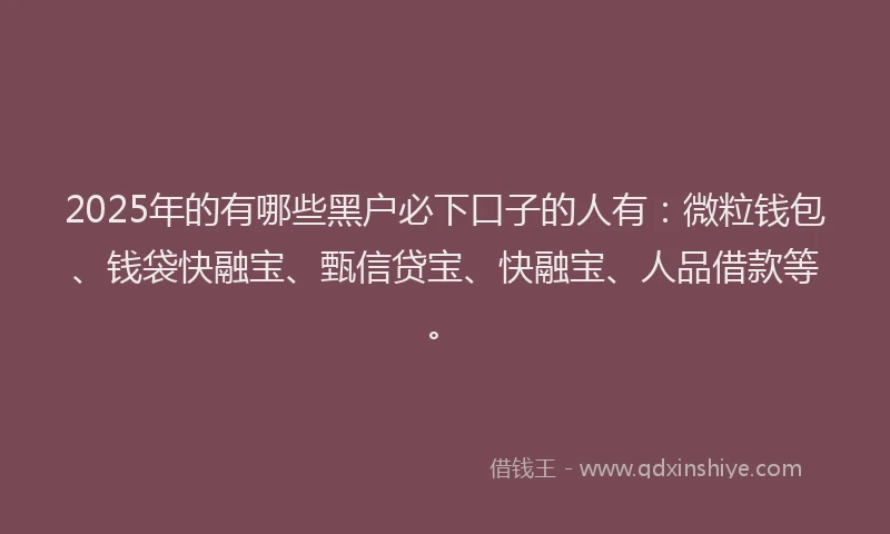 2025年的有哪些黑户必下口子的人有：微粒钱包、钱袋快融宝、甄信贷宝、快融宝、人品借款等。