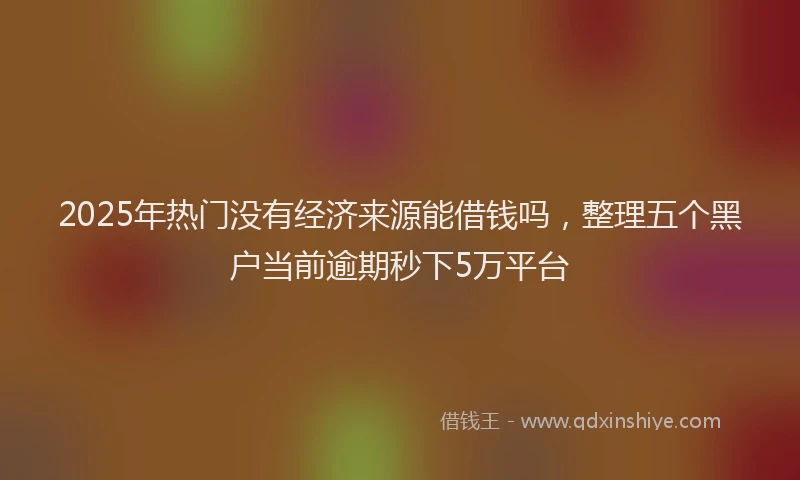 2025年热门没有经济来源能借钱吗，整理五个黑户当前逾期秒下5万平台