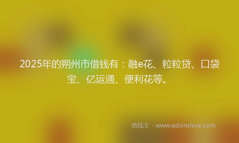 2025年的朔州市借钱有:融e花、粒粒贷、口袋宝、亿运通、便利花等。