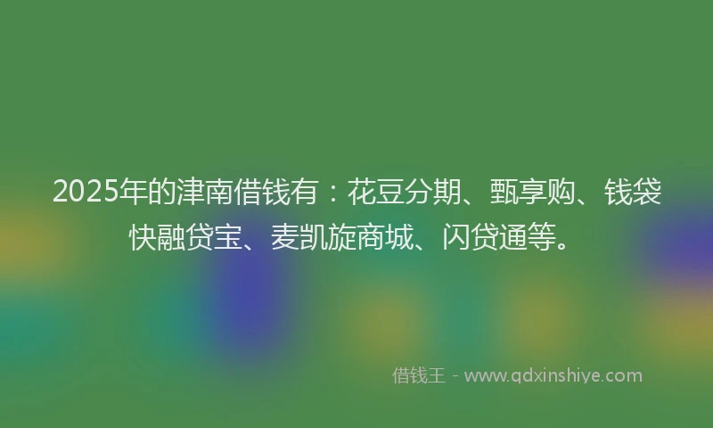 2025年的津南借钱有：花豆分期、甄享购、钱袋快融贷宝、麦凯旋商城、闪贷通等。