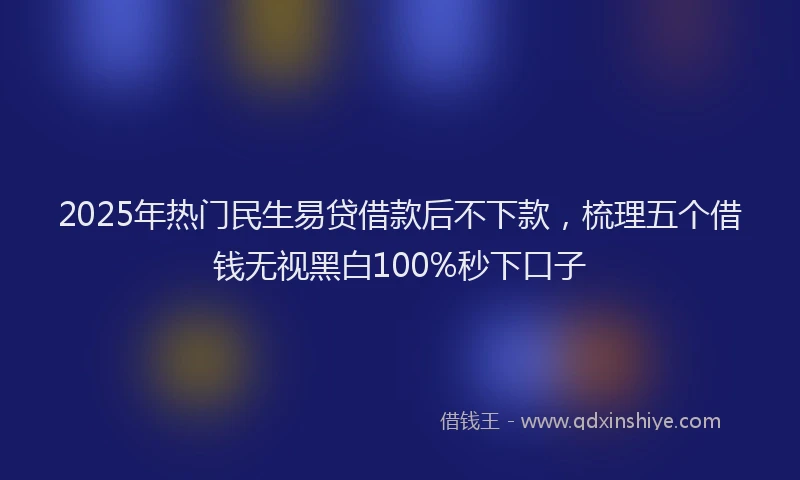 2025年热门民生易贷借款后不下款，梳理五个借钱无视黑白100%秒下口子