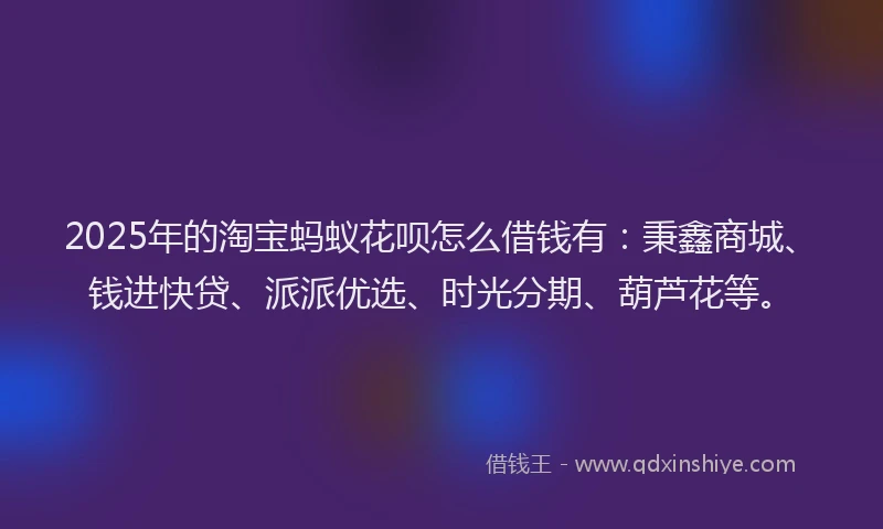2025年的淘宝蚂蚁花呗怎么借钱有：秉鑫商城、钱进快贷、派派优选、时光分期、葫芦花等。