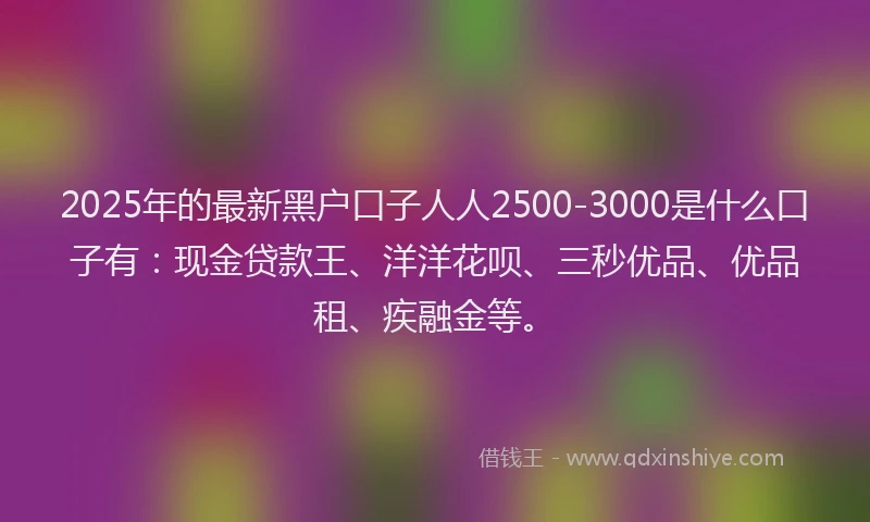 2025年的最新黑户口子人人2500-3000是什么口子有:现金贷款王、洋洋花呗、三秒优品、优品租、疾融金等。