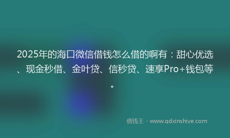 2025年的海口微信借钱怎么借的啊有：甜心优选、现金秒借、金叶贷、信秒贷、速享Pro+钱包等。