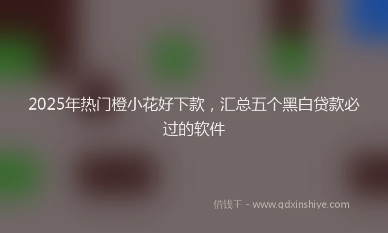 2025年热门橙小花好下款，汇总五个黑白贷款必过的软件