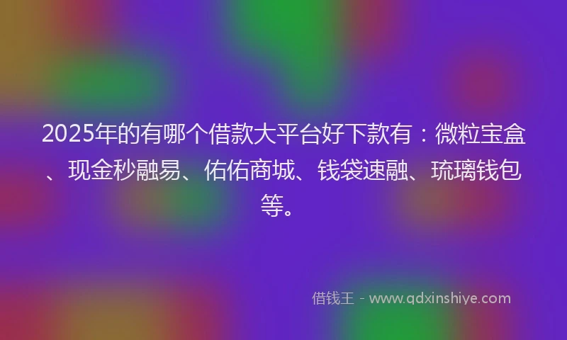 2025年的有哪个借款大平台好下款有：微粒宝盒、现金秒融易、佑佑商城、钱袋速融、琉璃钱包等。