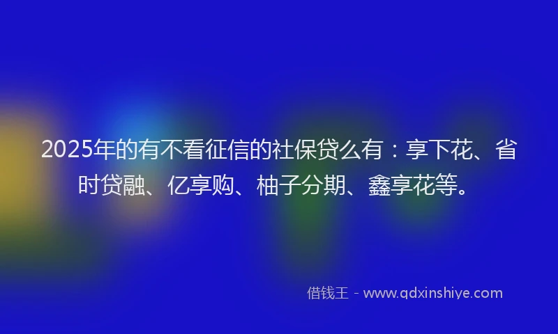2025年的有不看征信的社保贷么有：享下花、省时贷融、亿享购、柚子分期、鑫享花等。