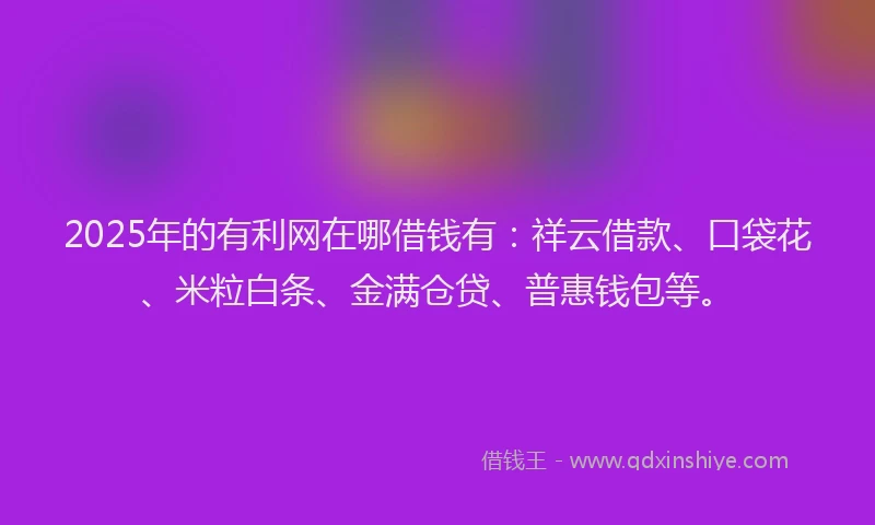 2025年的有利网在哪借钱有：祥云借款、口袋花、米粒白条、金满仓贷、普惠钱包等。