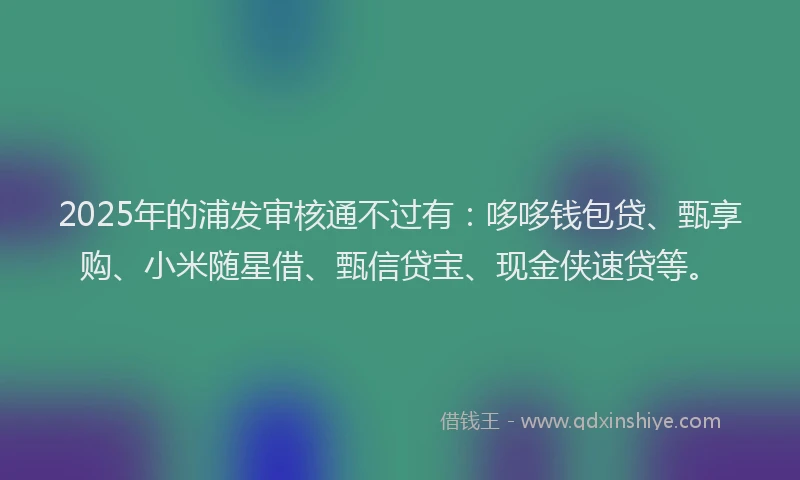 2025年的浦发审核通不过有：哆哆钱包贷、甄享购、小米随星借、甄信贷宝、现金侠速贷等。