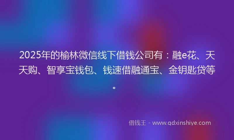 2025年的榆林微信线下借钱公司有：融e花、天天购、智享宝钱包、钱速借融通宝、金钥匙贷等。