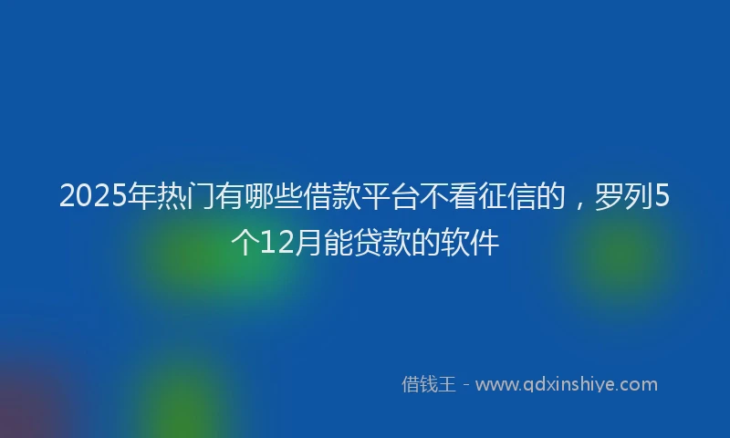 2025年热门有哪些借款平台不看征信的，罗列5个12月能贷款的软件