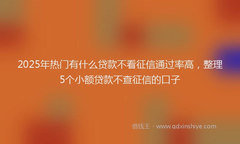 2025年热门有什么贷款不看征信通过率高，整理5个小额贷款不查征信的口子