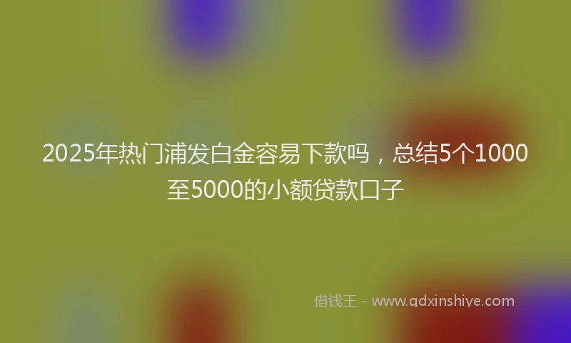 2025年热门浦发白金容易下款吗，总结5个1000至5000的小额贷款口子