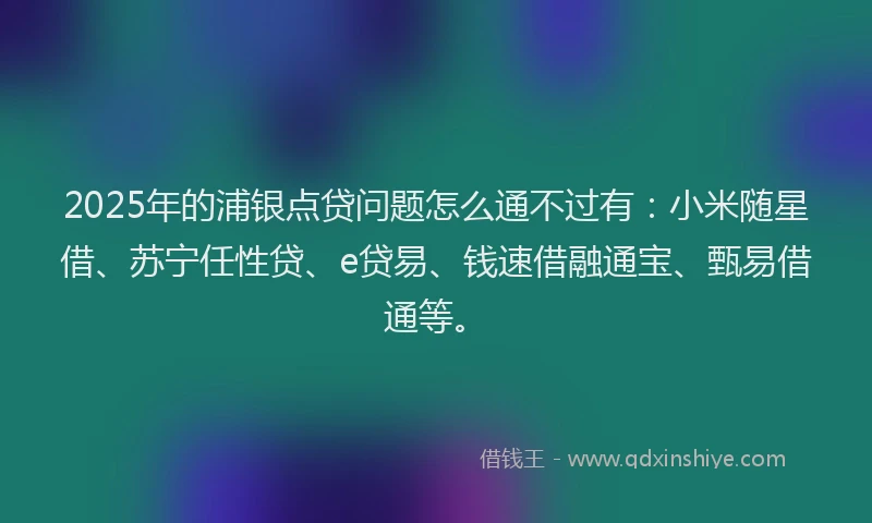 2025年的浦银点贷问题怎么通不过有：小米随星借、苏宁任性贷、e贷易、钱速借融通宝、甄易借通等。