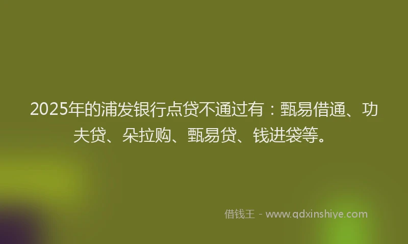 2025年的浦发银行点贷不通过有：甄易借通、功夫贷、朵拉购、甄易贷、钱进袋等。