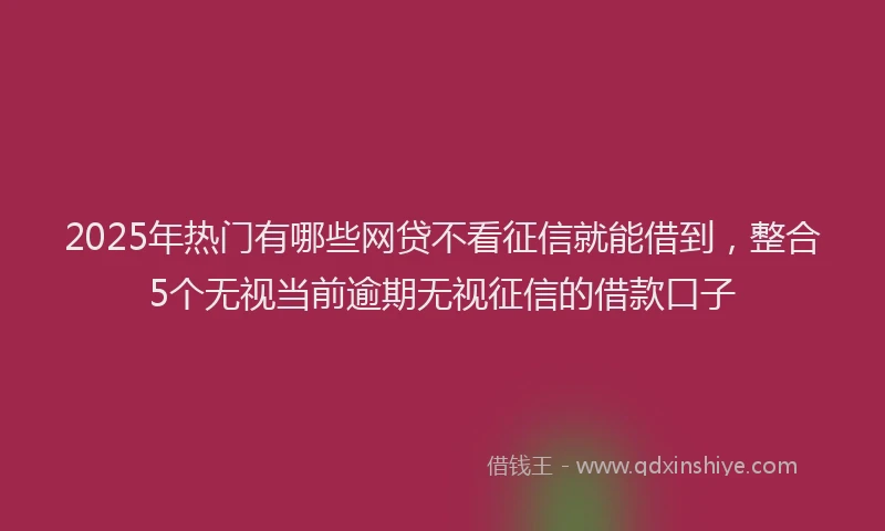 2025年热门有哪些网贷不看征信就能借到,整合5个无视当前逾期无视征信的借款口子