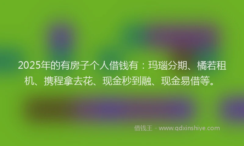 2025年的有房子个人借钱有：玛瑙分期、橘若租机、携程拿去花、现金秒到融、现金易借等。