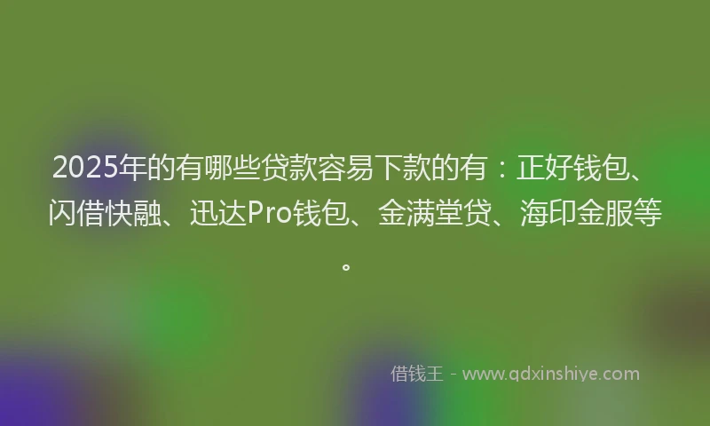 2025年的有哪些贷款容易下款的有：正好钱包、闪借快融、迅达Pro钱包、金满堂贷、海印金服等。