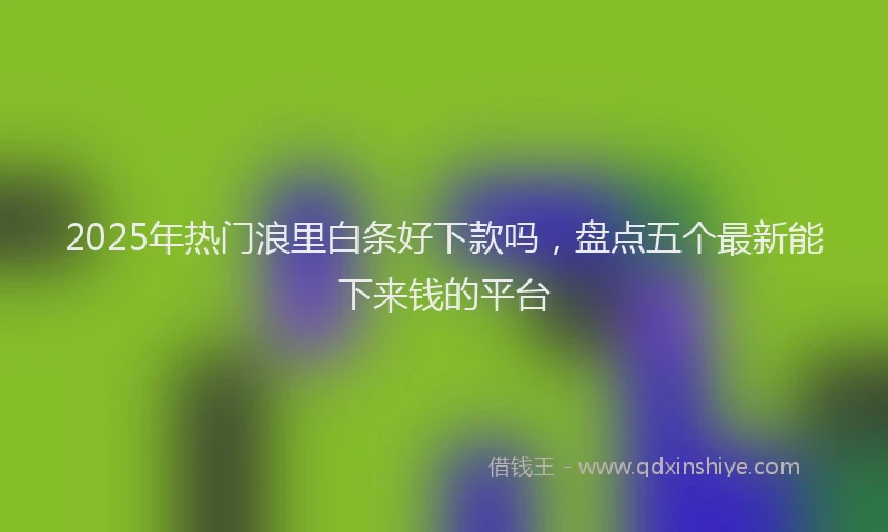 2025年热门浪里白条好下款吗，盘点五个最新能下来钱的平台