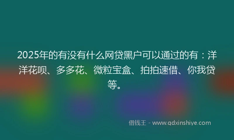 2025年的有没有什么网贷黑户可以通过的有：洋洋花呗、多多花、微粒宝盒、拍拍速借、你我贷等。