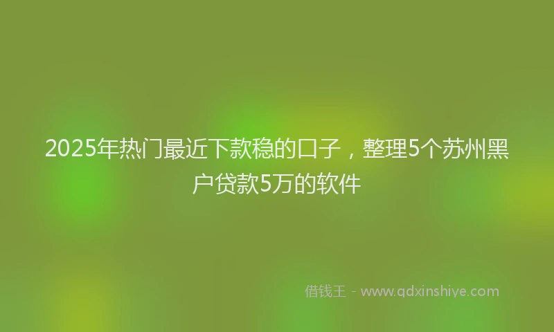 2025年热门最近下款稳的口子，整理5个苏州黑户贷款5万的软件