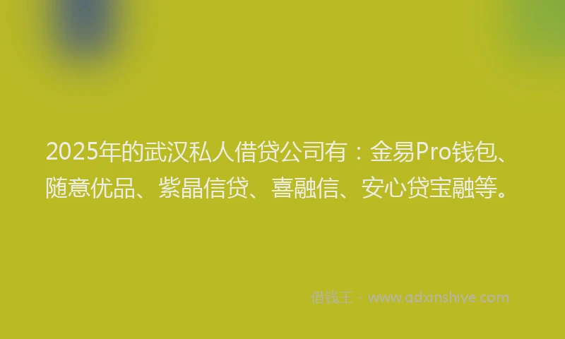 2025年的武汉私人借贷公司有：金易Pro钱包、随意优品、紫晶信贷、喜融信、安心贷宝融等。