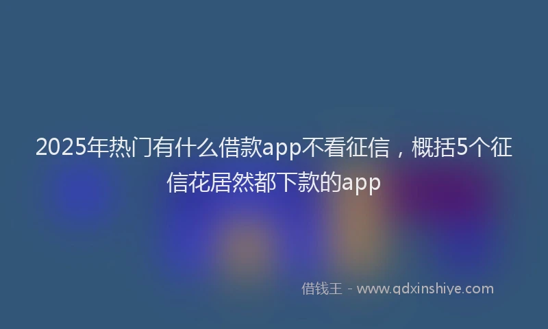2025年热门有什么借款app不看征信，概括5个征信花居然都下款的app