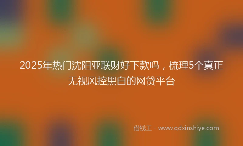 2025年热门沈阳亚联财好下款吗，梳理5个真正无视风控黑白的网贷平台