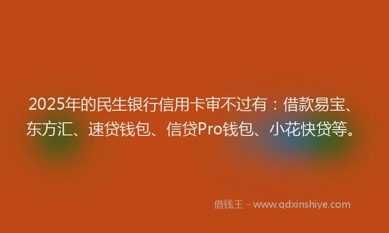 2025年的民生银行信用卡审不过有：借款易宝、东方汇、速贷钱包、信贷Pro钱包、小花快贷等。