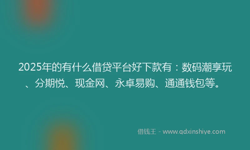 2025年的有什么借贷平台好下款有：数码潮享玩、分期悦、现金网、永卓易购、通通钱包等。