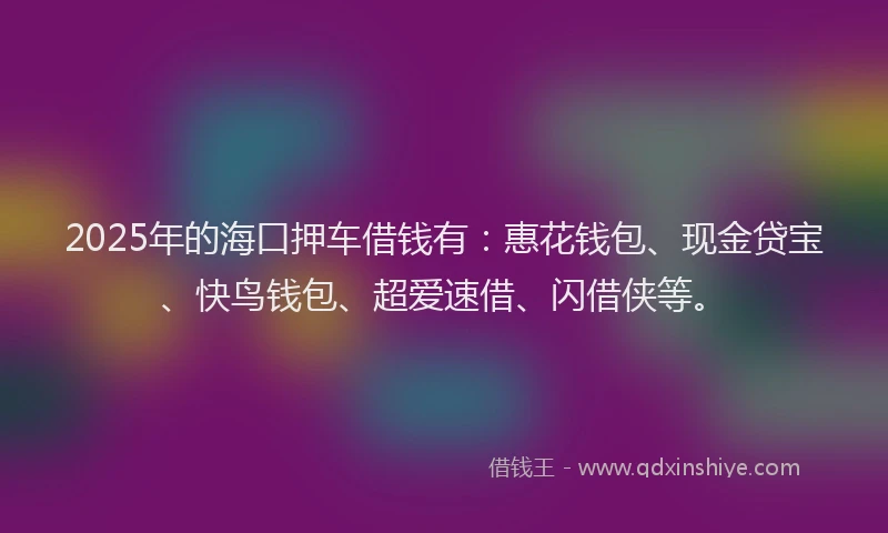2025年的海口押车借钱有：惠花钱包、现金贷宝、快鸟钱包、超爱速借、闪借侠等。