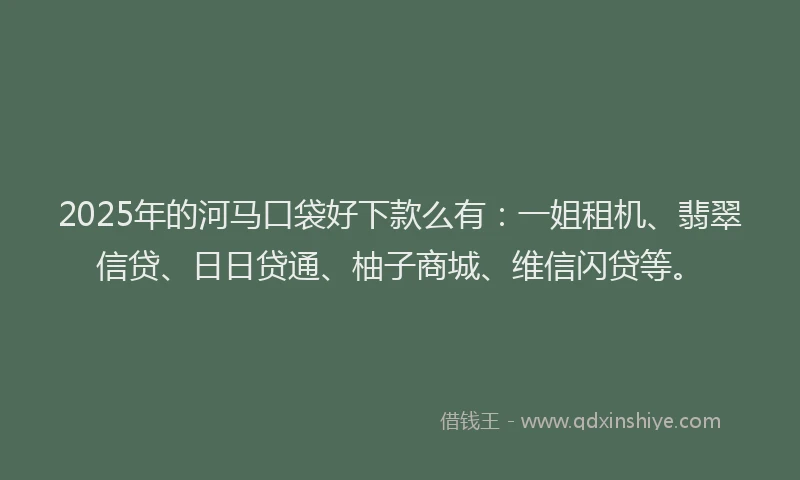 2025年的河马口袋好下款么有:一姐租机、翡翠信贷、日日贷通、柚子商城、维信闪贷等。