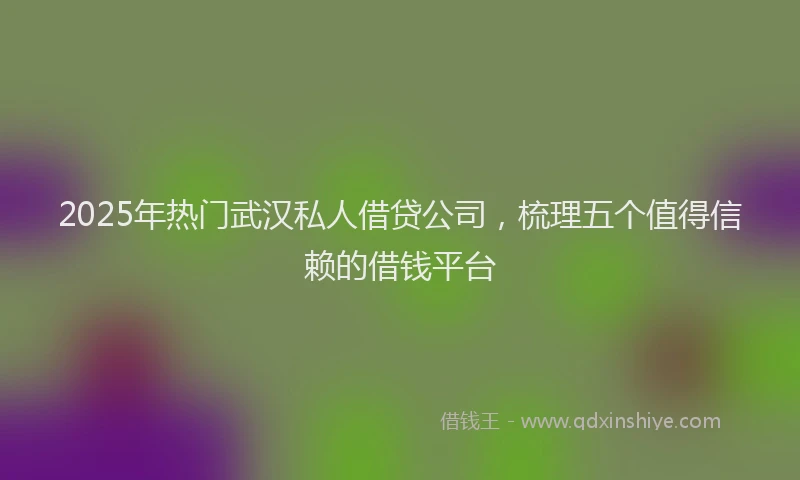 2025年热门武汉私人借贷公司，梳理五个值得信赖的借钱平台