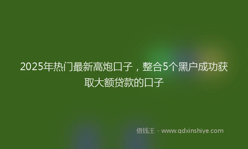 2025年热门最新高炮口子，整合5个黑户成功获取大额贷款的口子