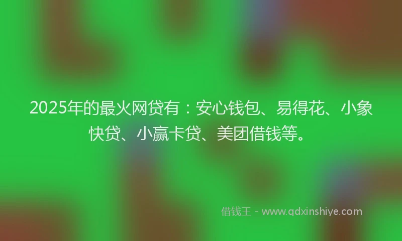 2025年的最火网贷有:安心钱包、易得花、小象快贷、小赢卡贷、美团借钱等。