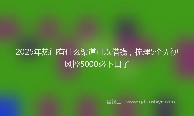 2025年热门有什么渠道可以借钱，梳理5个无视风控5000必下口子