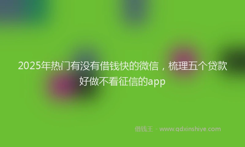 2025年热门有没有借钱快的微信，梳理五个贷款好做不看征信的app