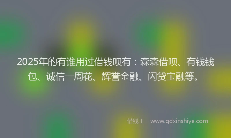2025年的有谁用过借钱呗有：森森借呗、有钱钱包、诚信一周花、辉誉金融、闪贷宝融等。