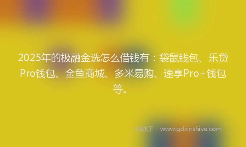 2025年的极融金选怎么借钱有：袋鼠钱包、乐贷Pro钱包、金鱼商城、多米易购、速享Pro+钱包等。