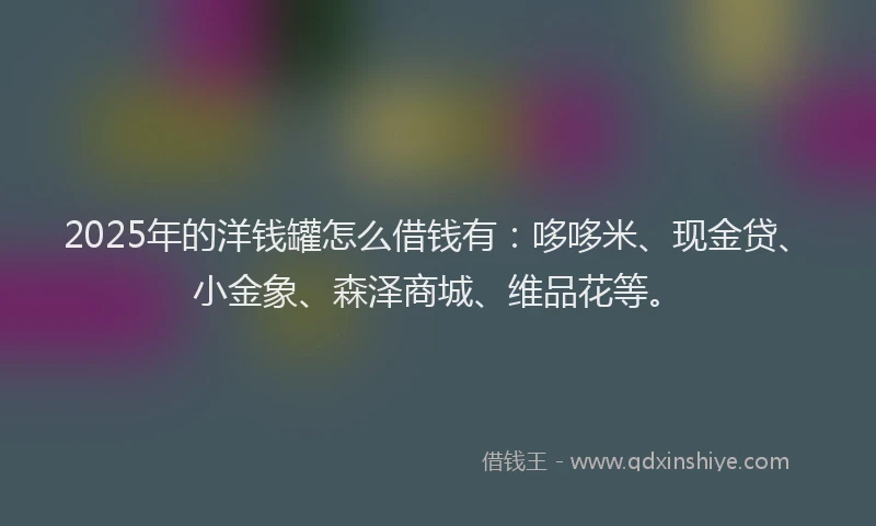 2025年的洋钱罐怎么借钱有：哆哆米、现金贷、小金象、森泽商城、维品花等。