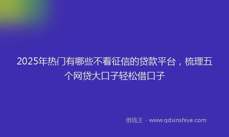 2025年热门有哪些不看征信的贷款平台，梳理五个网贷大口子轻松借口子